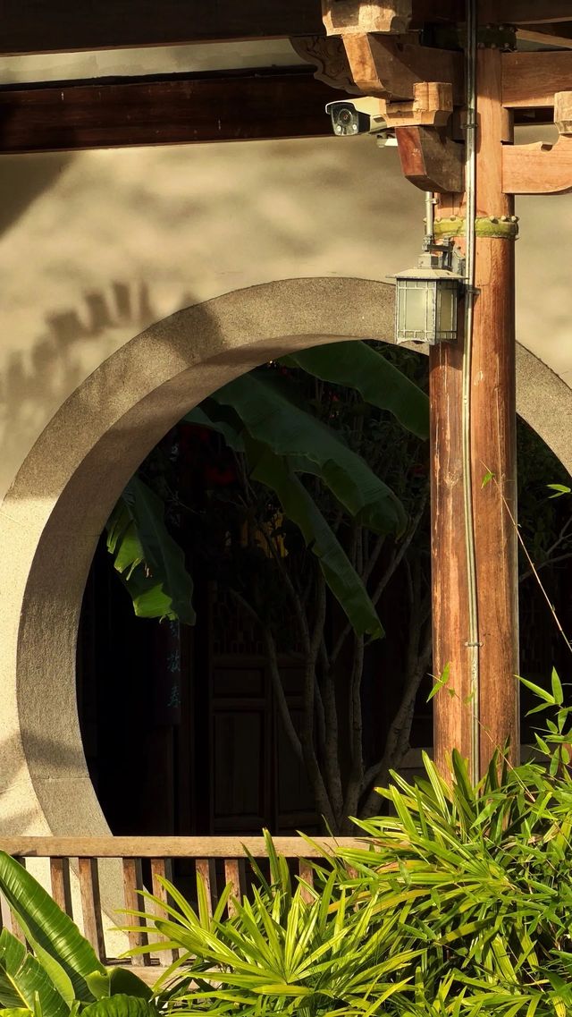 西湖邊隱秘觀景台，一些西湖的其他角度