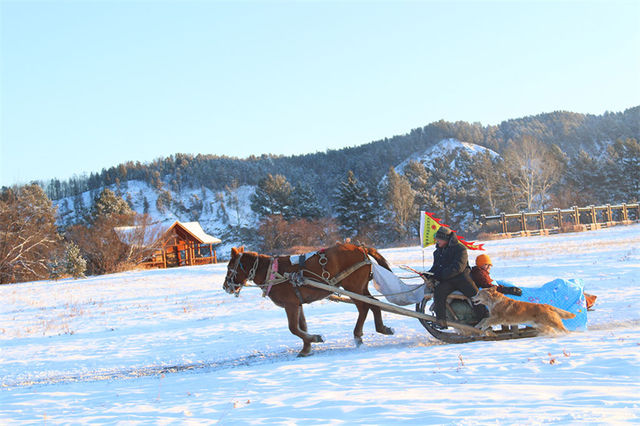 冬季漠河森林穿越3日遊攻略 冬季漠河森林穿越3日遊攻略