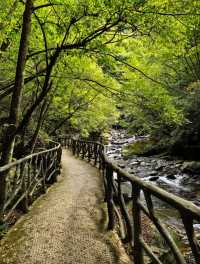 爆冷門！陝西這座神仙峽谷竟藏匿著八仙的祕籍