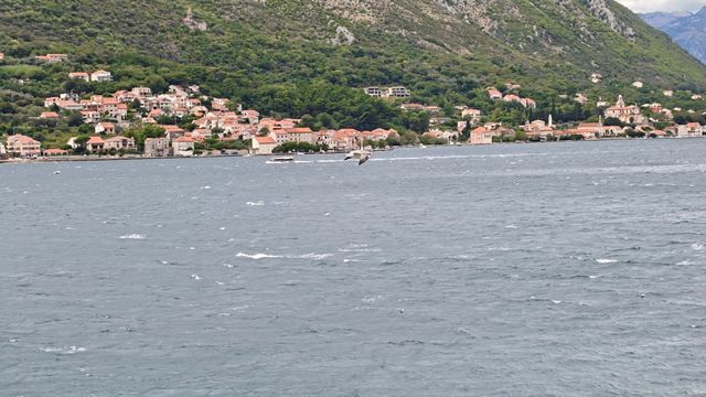 漫步科托爾岸邊