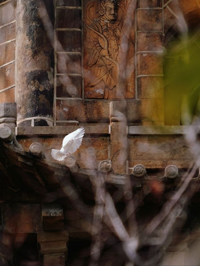 泉州西街火了！半日穿越千年，一口閩南味淪陷全網！