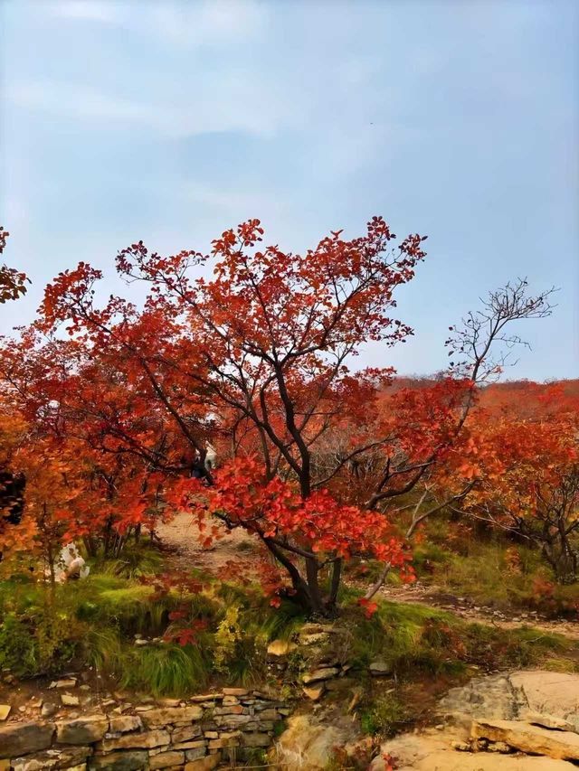 邢台佛照山|秋日寶藏免費景區親子遊玩好去處 邢台佛照山|秋日寶藏免費景區親子遊玩好去處