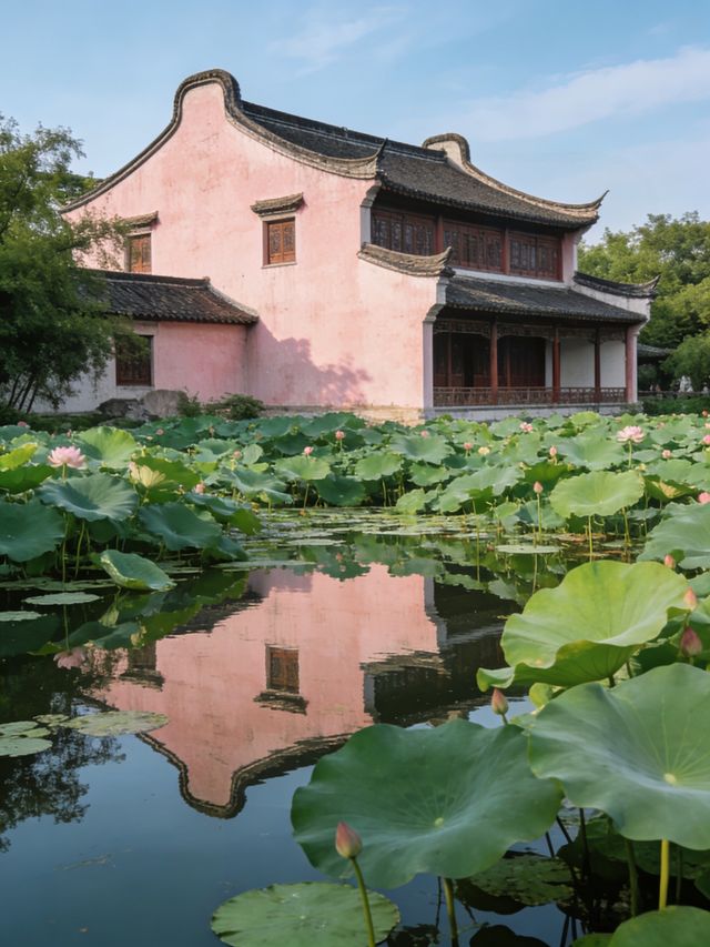 避開人潮!尚湖8.5折購票+隱藏月季園,親測不踩雷 避開人潮!尚湖8.5折購票+隱藏月季園,親測不踩雷