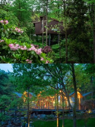 Ningbo's Secret Wilderness! Stay in a Zen Utopia in the Forest