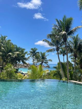 塞舌爾考察——康斯丹雷沐利亞