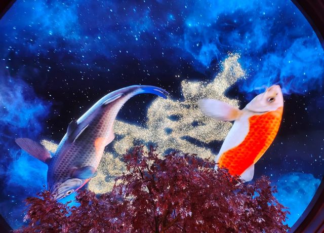 電影控必打卡！《捕風追影》澳門取景地·永利皇宮黃金發財樹攻略