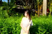 西雙版納植物園！！