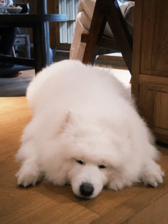 武夷山週末遊|兩日一晚吸氧飲茶計劃🫖 武夷山週末遊|兩日一晚吸氧飲茶計劃🫖