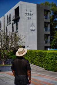 私享一池碧水,靜謐綠洲中甦醒