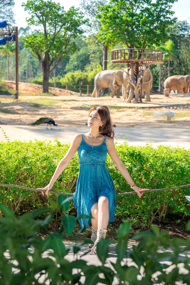 清遠長隆森林王國跟拍竟然用不了300