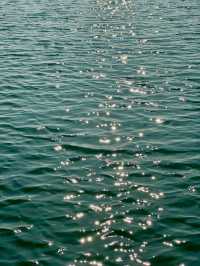 蘇州私藏秋日寶藏|太湖湖濱濕地公園,免費美到驚嘆