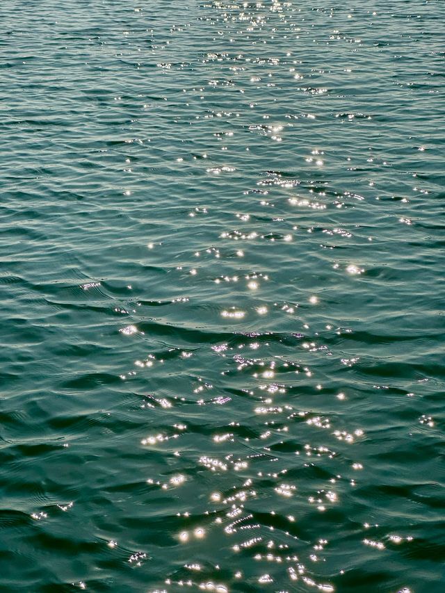 蘇州私藏秋日寶藏|太湖湖濱濕地公園,免費美到驚嘆 蘇州私藏秋日寶藏|太湖湖濱濕地公園,免費美到驚嘆