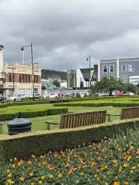 歐里歐氣的但尼丁!附Citywalk路線~