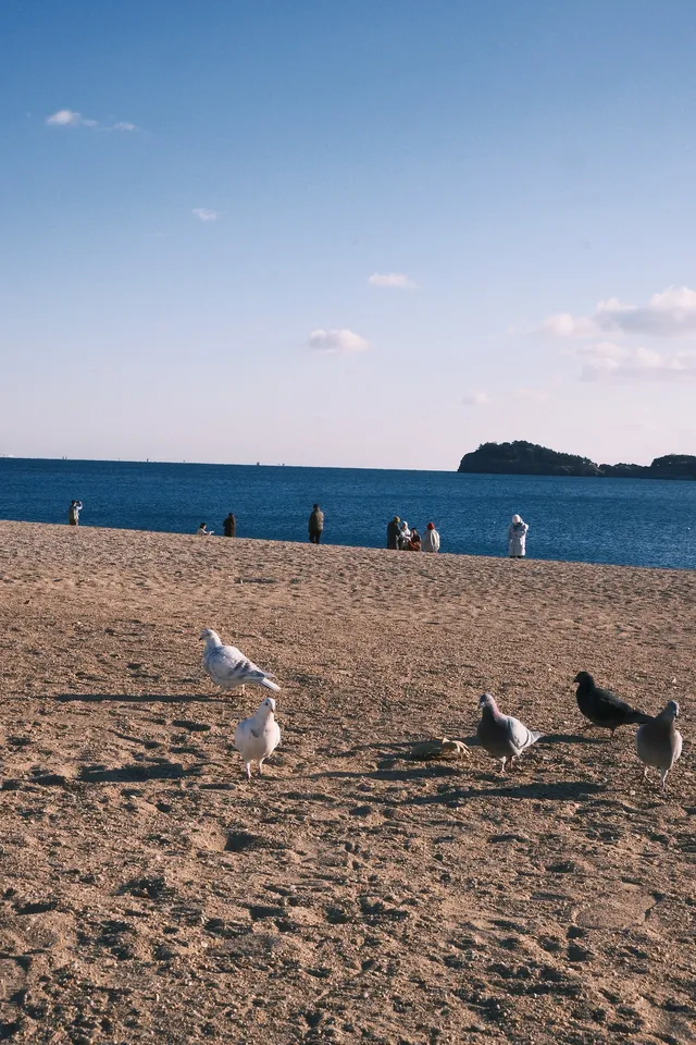 大連傅家莊+銀沙灘+跨海大橋【攻略】 大連傅家莊+銀沙灘+跨海大橋【攻略】