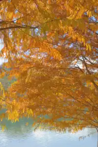 深圳周邊遊——被上帝遺忘的花園