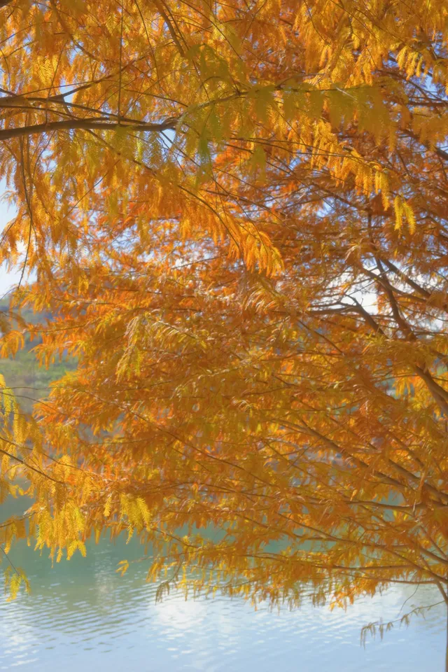 深圳周邊遊——被上帝遺忘的花園 深圳周邊遊——被上帝遺忘的花園