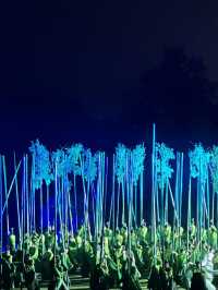 武夷山《印象大紅袍》攻略360°山水實景藏茶香浪漫