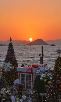 香港|12月,期待日落晚風中的海邊聖誕樹