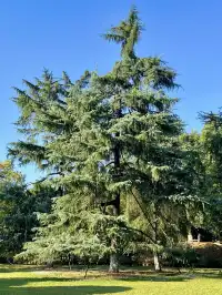 長沙賞秋超全攻略|看萬山紅遍,層林盡染