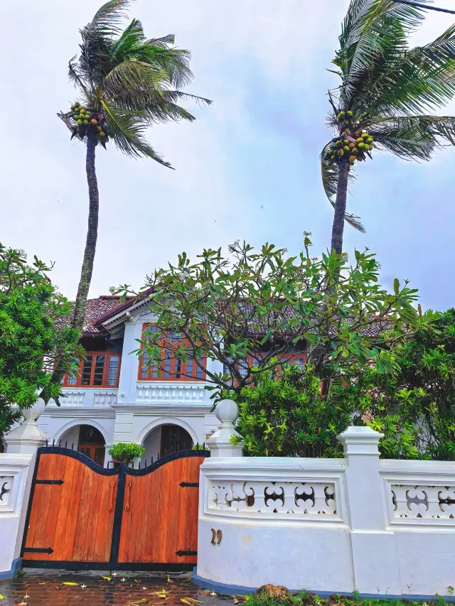 Ceylon Silhouette｜Checking in at Galle Fort in the heavy rain, same style as Wu Lei