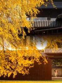 迄今為止,我最愛的江南古鎮出現啦