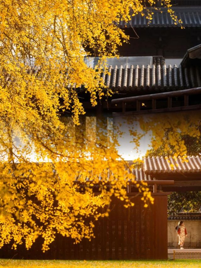 迄今為止,我最愛的江南古鎮出現啦 迄今為止,我最愛的江南古鎮出現啦