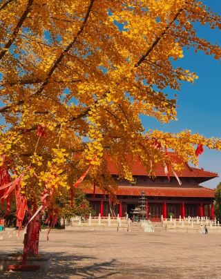 2026 อัปเดตล่าสุด คู่รักเที่ยวหว่อหยาง อานฮุย