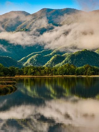 湖北の果て、それは大九湖！最も幻想的な朝霧が隠れている……