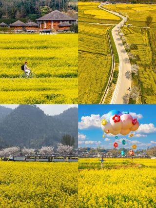 洞窟探検、ラフティング、貴州で子どもの五一（メーデー）計画がはっきりした