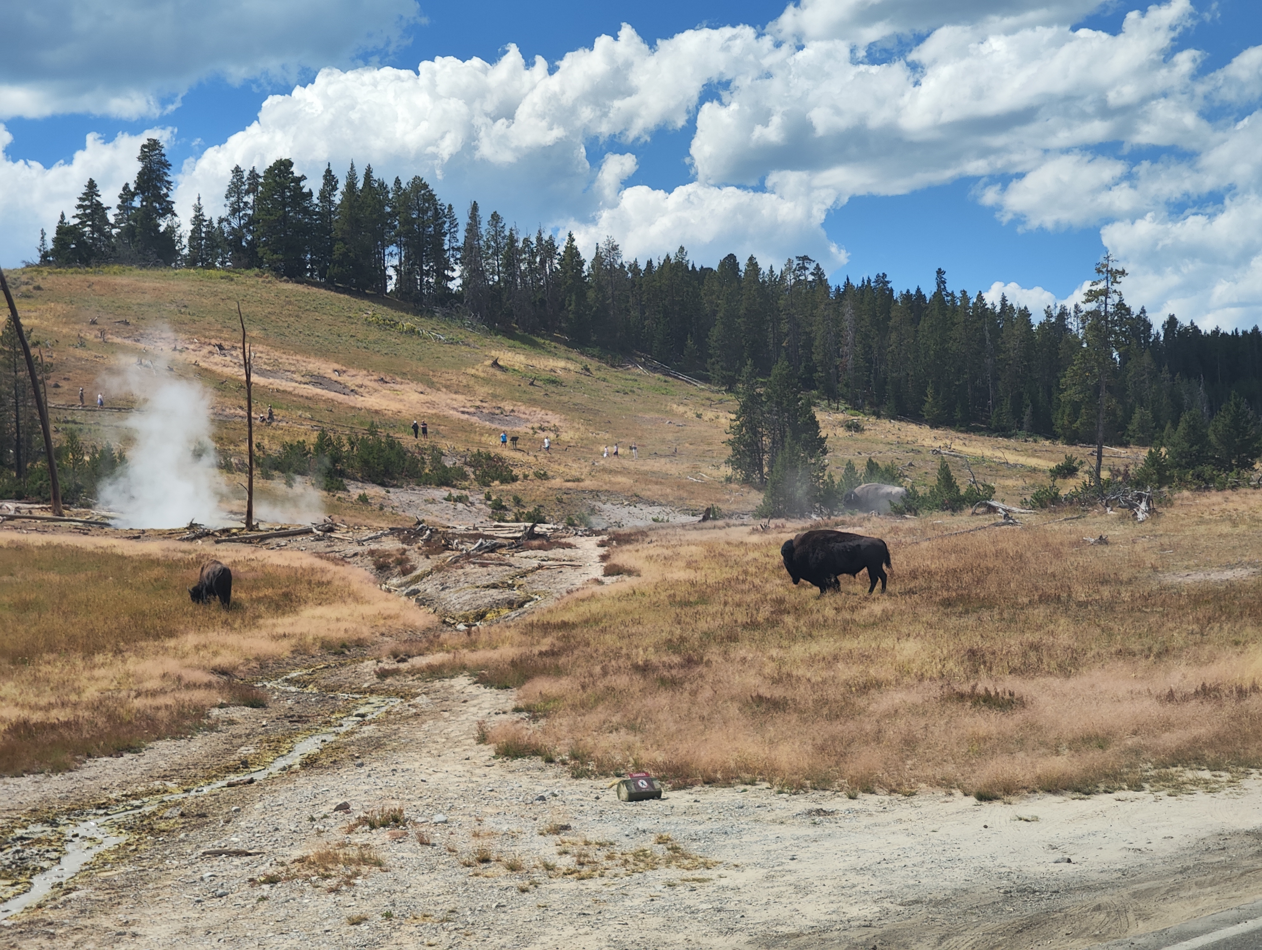 【美國 攻略 2026】Coconino County, Navajo County Trip.com 精選 — 港人實用指南 Coconino County, Navajo County, Park County - Yellowstone National Park 8-Da - 圖 8
