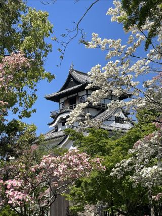 春の名古屋をロマンチックに楽しむには？絶景を撮りながら温泉も楽しめる日帰りコースが3つあります！