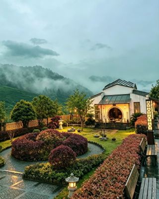 무이산 은둔 찻집 가이드