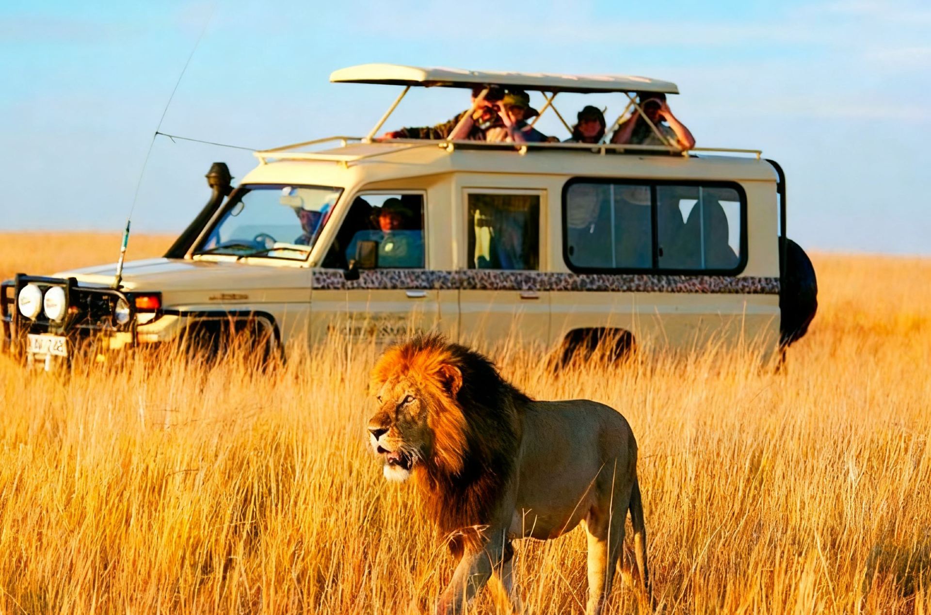Lịch trình chi tiết 15 ngày khám phá Zimbabwe và các quốc gia khác.