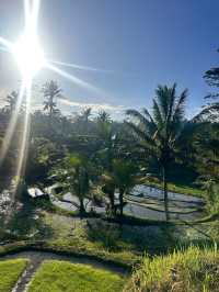 A Magical Retreat to Reset and Recharge