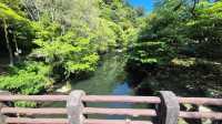 Beautiful Atmosphere and Scenic Waterfall Spot