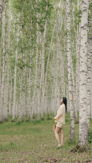 白樺林の秘境散歩ガイド