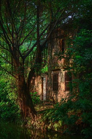 二人の皇帝が勅命を下した順徳の古村、百年の古木と絵のような橋と水