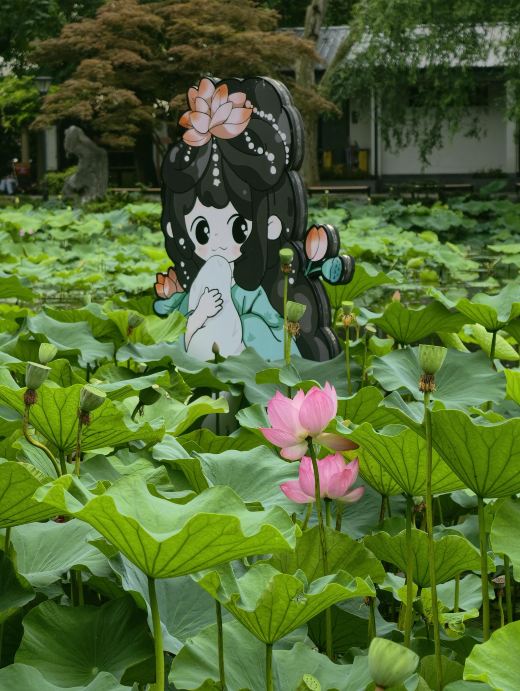 ワニと睡蓮の屏風 140 x 70cm 上海蓮睡蓮展 - 閘北公園分館会場 | Trip.com 上海