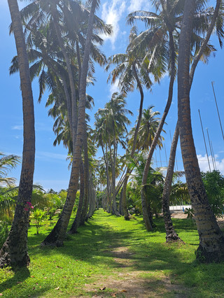 Pulau Indah dengan Pemandangan Spektakuler