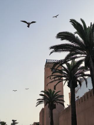 Essaouira: A World Heritage City on the Atlantic Coast