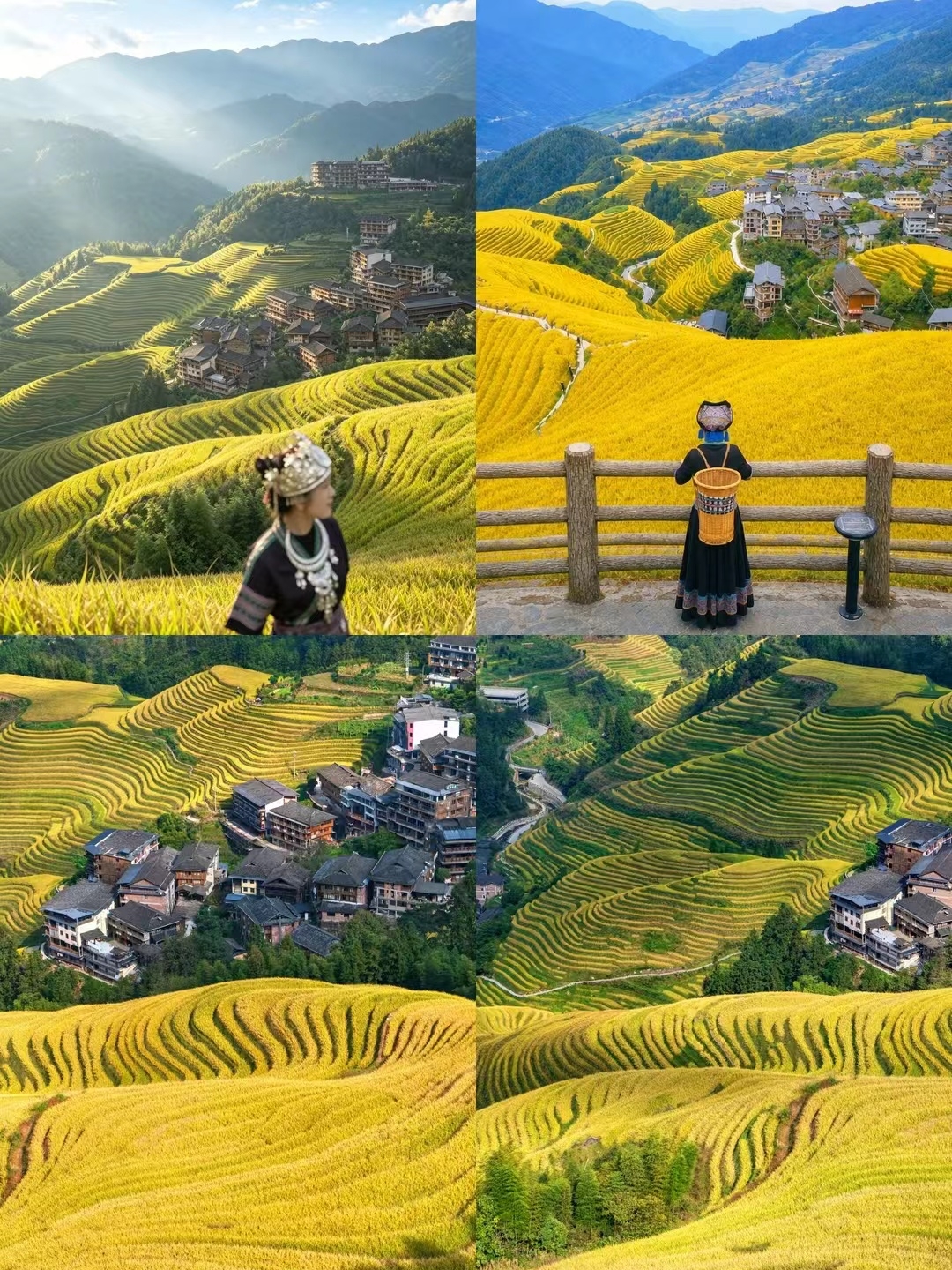Sau khi đã trải nghiệm khu ruộng bậc thang Longji, tôi thực sự không khuyên bạn nên đến đó vào tháng 9 hoặc tháng 10, vì lúc đó quá...