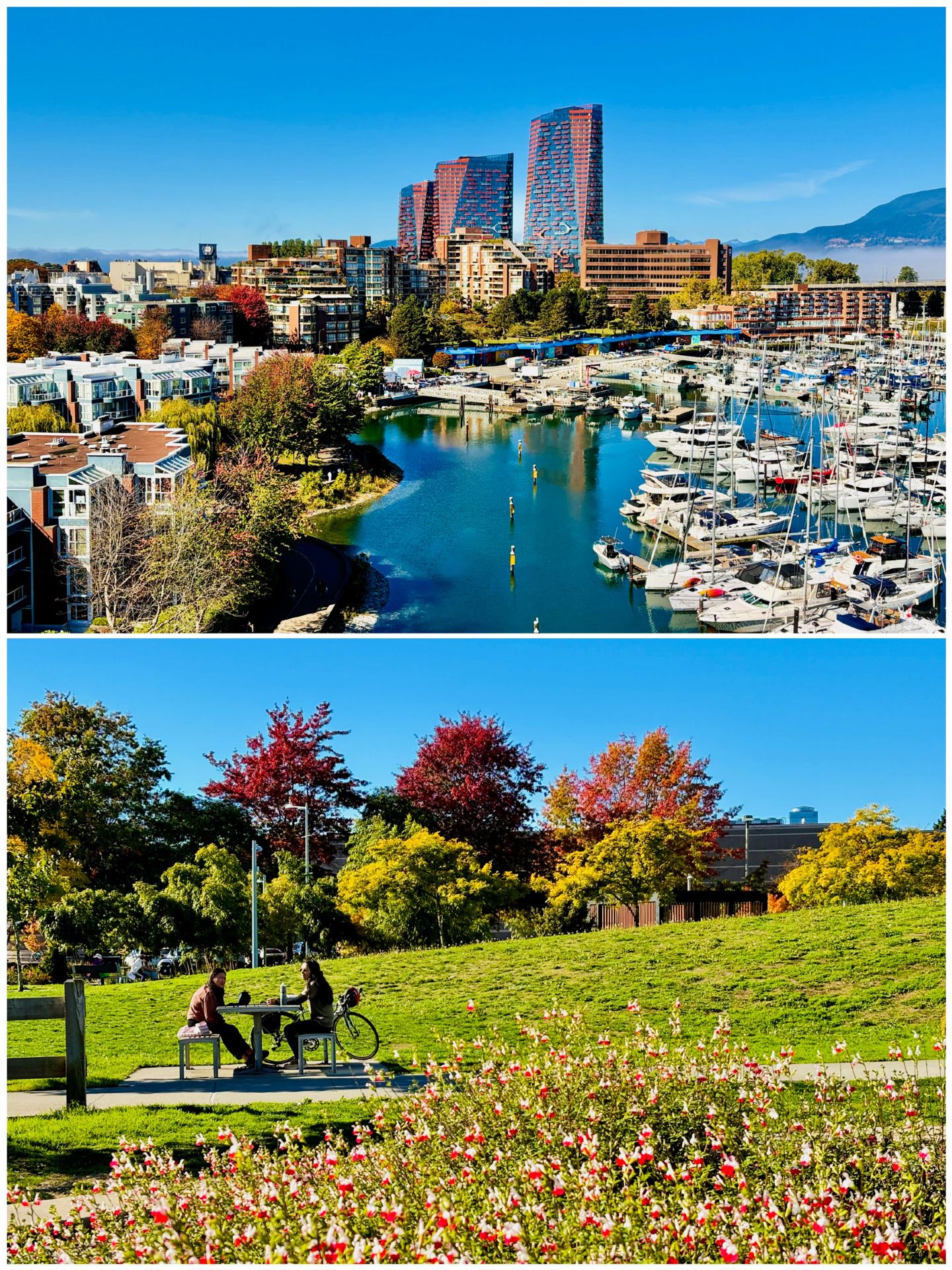  A Guide to Viewing the Sea of Clouds in Vancouver During Autumn and Winter