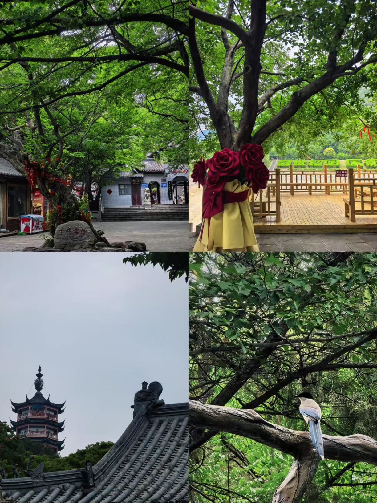 October "reverse travel": A niche city perfect for a 3-day getaway