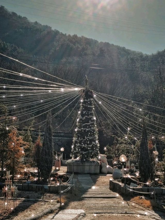 여긴 아직 크리스마스 무드! 보타닉뮤지엄