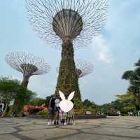 新加坡小朋友放電必選—Gardens by the bay