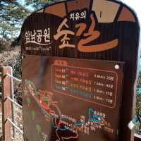 암남공원 산책은 대자연에 품속으로