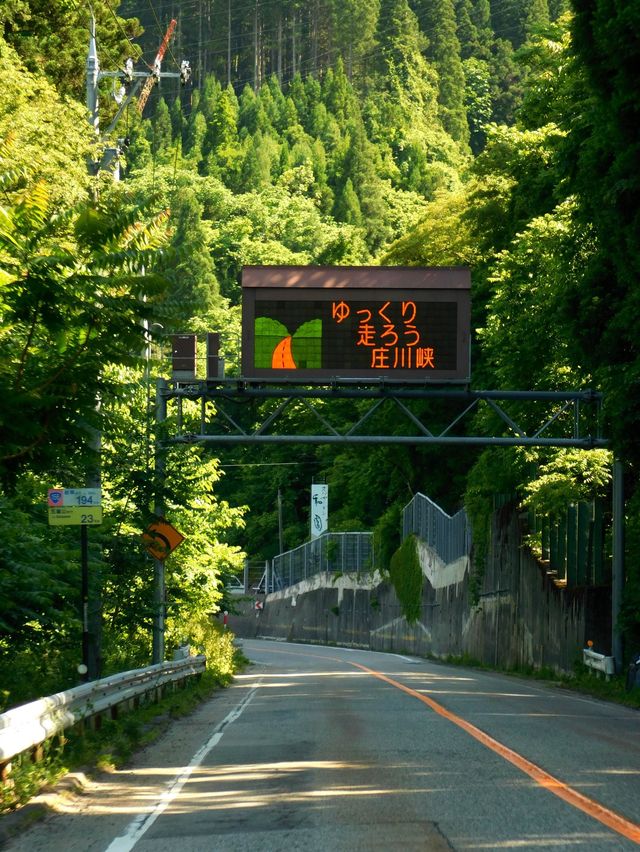 Driving in Japan’s Countryside 🚘⛰️