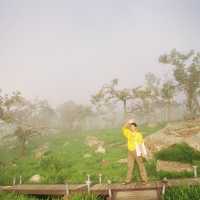 ลานหินงาม