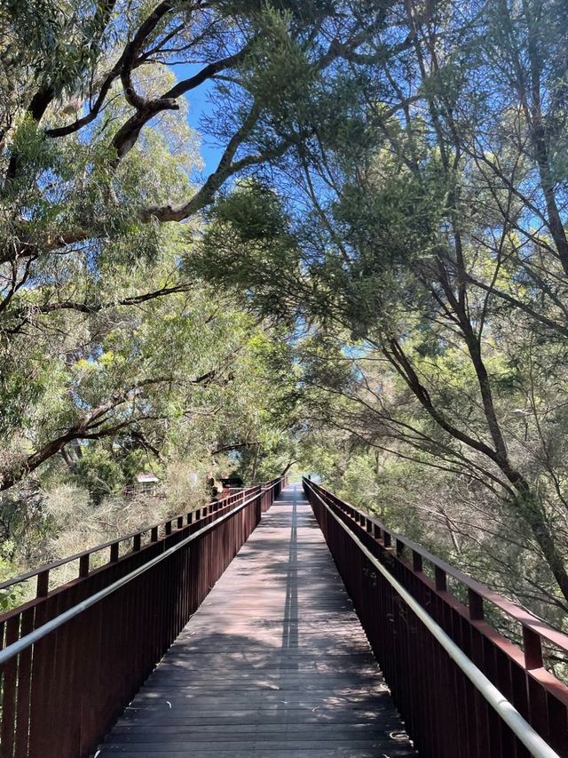 Kings Park Perth 