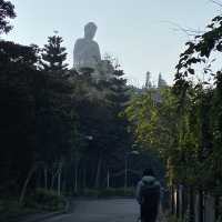Wisdom Path